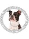 Dog Collar - Diamond Silver Dog Chain Necklace with Buckle, Metal Heavy Duty Rhinestone Dog Chain, Jewelry Chain Collars for Dogs Puppies Cats (Silver, 20cm)