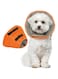 Kuoser Dog Recovery Collar,Soft&amp;Adjustable Dog Cone,Elizabethan Dog Collar After Surgery,Wounds Protection,Licking Scratching Prevention,Skin Diseases,Comfortable Pet Cone(Orange,S)