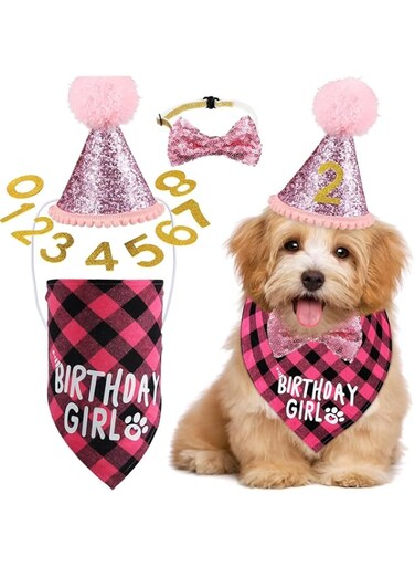 Bolivia's Dog Birthday Party Supplies, Cute Dog Party Decorations Including Cake Inserts, Dog Birthday Decorations, Triangle Scarves, Clothes, Shirts, Dog Birthday Hat, Bow Ties and Ties