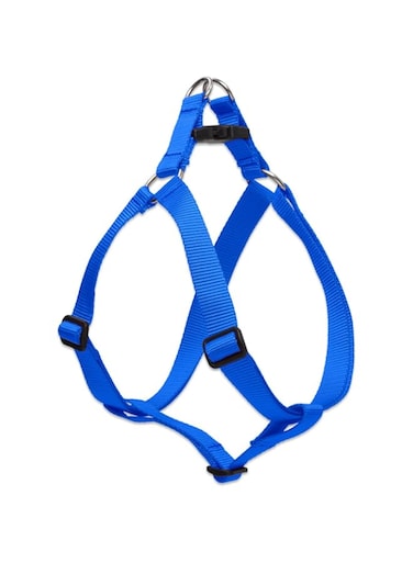 Lupine Step In Harness 19-28, Blue, 1 Inch