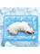 NALACAL Cooling Pillow Pack for Pet Dog Cat, Washable Cool Cushion Cooling Seat Pillow Gel Cushion Reusable Pet Cushion Kennel Cool Mat Non-Toxic Cooling Mat Dog Bed Gel for Crates Kennels and Beds