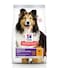 Hill's Science Plan Sensitive Stomach &amp; Skin Med 2.5Kg