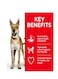 Hill's Science Plan Performance Adult Dog Food With Chicken - 14kg