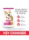 Hill's Science Plan Small And Mini Adult Chicken Dog -10kg