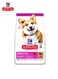 Hill's Science Plan Adult 1-6 Small &amp; Mini Adult Dog Food With Lamb &amp; Rice Dog - 1.5kg