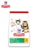 Hill's Science Plan Kitten Chicken Cat -300gm