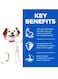 Hill's Small And Mini Adult Dog Mousse - 200g (Pack Of 12)