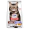 Hill's Science Plan Hairball &amp; Perfect Coat Adult Dry Cat Food with Chicken (3kg)