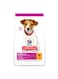 Hill's Small And Mini Puppy Food With Chicken - 300g