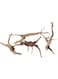 emours Natural Driftwood Vine Branches Reptiles Aquarium Decoration Assorted Sizes,Small,4 Pieces
