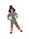 amscan Child Boys Official Licensed Warner Bros Wizard of Oz Scarecrow Fancy Dress Costume