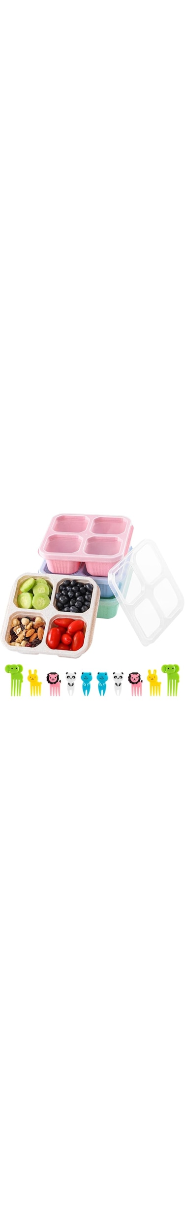 Tazweeq 4Pcs Snack Containers, Divided Bento Lunch Box with Transparent Lids, Reusable lunch box for children and adults, 4 Compartment Food Storage Container for School Work Travel