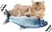 Bestmaple Moving Cat Kicker Fish Toy, Realistic Plush Simulation Electric Doll Fish USB Rechargeable, Funny Interactive Pets Chew Bite Supplies for Cat/Kitty/Kitten Fish Flop Cat Toy Catnip Toys (1)