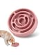 Jenilily Slow Feeder Bowls Anti-Slip Puzzle Interactive Bloat Stop Bowl Anti-Choking Dog Bowl for Small and Medium Dogs