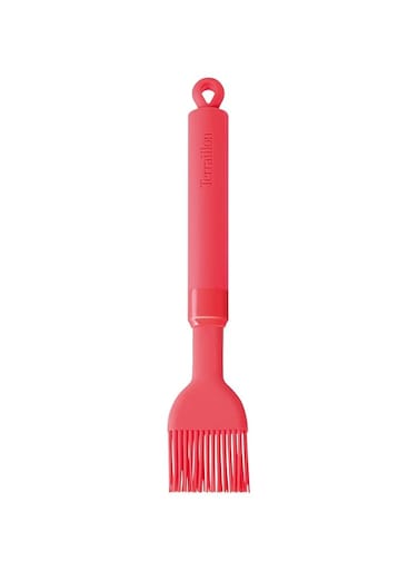 Terraillon Access Kitchen Brush, Professional and Household Utensil, Hanging Loop, Express Your Chef, Silicone, Citrus, 22 x 3.9 x 1.2 cm, Agrumes