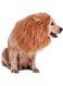 Starthi Lion Mane Wig for Dogs, Lion Mane Costume for Cat, Brown, Lion Mane Costume for Dog, Dog Lion Wig for Dog Large Pet Festival Party Fancy Hair Dog Clothes