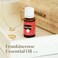 Young Living Frankincense Essential Oil 15ml Essential Oils