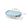 LocknLock Classic Plus Rectangle Food Container 910ml (PACK of 2) &ndash; Mint, Airtight Leakproof, BPA-Free, Microwave &amp; Freezer Safe
