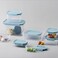 LocknLock Classic Plus Rectangle Food Container 910ml (PACK of 2) &ndash; Mint, Airtight Leakproof, BPA-Free, Microwave &amp; Freezer Safe