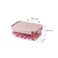 LocknLock Classic Plus Rectangle Food Container 1.65L (PACK of 2) &ndash; Pink, Airtight Leakproof, BPA-Free, Microwave &amp; Freezer Safe