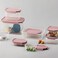 LocknLock Classic Plus Rectangle Food Container 1.65L (PACK of 2) &ndash; Pink, Airtight Leakproof, BPA-Free, Microwave &amp; Freezer Safe