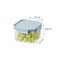 LocknLock Classic Plus Square Food Container 860ml (PACK of 2) &ndash; Mint, Airtight Leakproof, BPA-Free, Microwave &amp; Freezer Safe