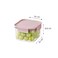 LocknLock Classic Plus Square Food Container 860ml (PACK of 2) &ndash; Pink, Airtight Leakproof, BPA-Free, Microwave &amp; Freezer Safe