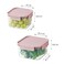 LocknLock Classic Plus Square Food Container Set (1.25L+860ml) &ndash; Pink, Airtight Leakproof, BPA-Free, Microwave &amp; Freezer Safe