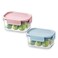 LocknLock Classic Plus Rectangle Food Container 385ml (PACK of 2) &ndash; Airtight Leakproof, BPA-Free, Microwave &amp; Freezer Safe