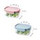 LocknLock Classic Plus Rectangle Food Container 385ml (PACK of 2) &ndash; Airtight Leakproof, BPA-Free, Microwave &amp; Freezer Safe
