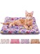 Ultra Soft Pet Bed for Cats &amp; Small Dogs - 21x14 Inches Dog Crate Pad with Cute Star Print, Washable &amp; Reversible Fleece Kennel Mat, Ideal for Indoor Cats, Small Dogs, and Cat Carriers, 53 x 36 cm