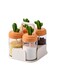 Kitchen Spice Jar 4-Piece Set, Household Seasoning Box,Seasoning Bottle Organization Set, Cactus Glass Seasoning Jar Bottle