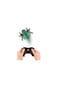 Terra Remote Controlled Climbing Fly AN2868Z