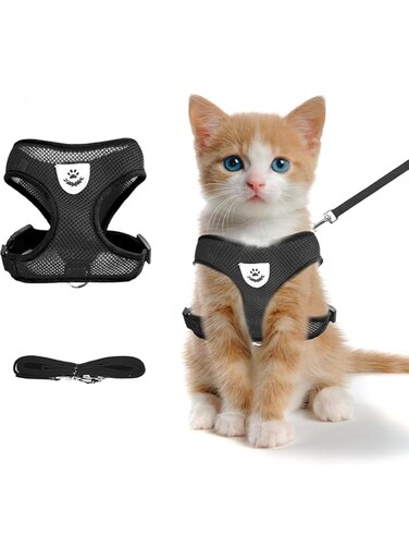 Generic Cat Harness, Mesh Design, Reflective Strips, Adjustable Fit, Suitable For Home Use And Pet Stores, Size M, Color Black