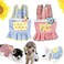 2 PCS Dog Dress, Puppy Flower Lace Tutu Dress, Cotton Dog Harness Dress, Kawaii Dog Princess Skirt, Elegant Pet Summer Apparel Dog Clothes, Summer Dog Costume for Small Dog Puppy Bunny Rabbit Cat