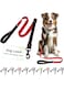 Doco 4Ft Shock Absorbing Bungee Leash - Large (Dcb1148) Color - Red, Sizes - L
