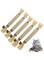 Cat nip Silvervine Sticks for Cats   Silver Vine Chew Toy or Chew Stick   Kitten Teething Toys   Dental Chew with Cat Raffia Grass for Healthy Teeth &amp; Digestion   Silvervine Cat Toy   5 Sticks