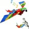 Simulation Bird Interactive Cat Toy for Cats, Flying Bird Cat Toy, Hanging Parrot Flying Bird Funny Cat Interactive Toy for Cats Kitten Play Chase Exercise, Pet Cat Playing Toy Pet Supplies(Parrot)