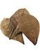 Hobby Aquarium,Catappa Leaves XL (12 Pcs)