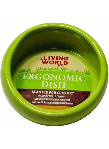 LIVING WORLD Ergonomic Dish, Green, Small