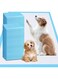 Mumoo Bear Dog Pee Pads 18"x24", 100 Count Thicken Pee Pads for Dogs Super Absorbent, Leak-Proof Disposable Dog Training Pads, Potty Pads for Puppies, Cats, Doggies(100 PACK-60 * 45CM)