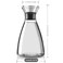Borosilicate Carafe