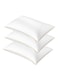 3 Piece Pack Classic Golden Edge Single Piping Pillow 50x70cm Made in Uae