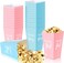 50 Pack Gender Reveal Popcorn Paper Boxes Pink and Blue