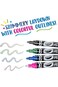 Crayola Project Metallic Outline Markers 4ct CY58-8357