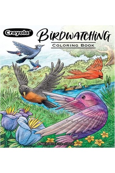 Crayola Colouring Book - Bird Watching 40pages CY04-1133
