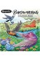 Crayola Colouring Book - Bird Watching 40pages CY04-1133