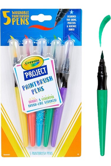 Crayola Project Paint Brush Pens 5ct CY54-6205