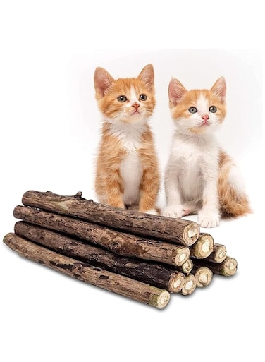 Mumoo Bear 20-Pack- Reusable Calming Catnip Chew Toy for Cats and Kittens, Promotes Oral Hygiene, Fresh Breath - Minty Taste, Natural and Organic Wood