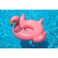 Swimline Swimming Pool Accessory